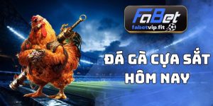 Đá Gà Cựa Sắt Hôm Nay