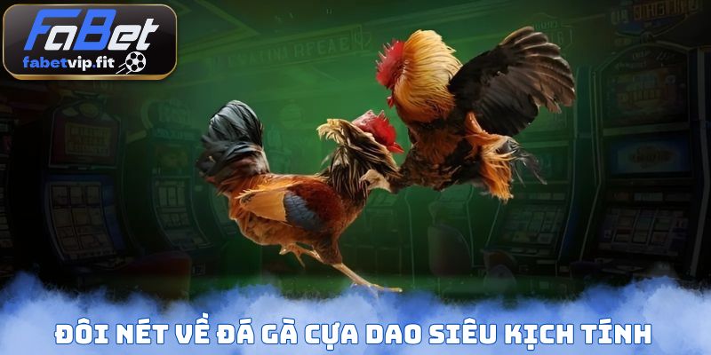 Đôi nét về đá gà cựa dao siêu kịch tính