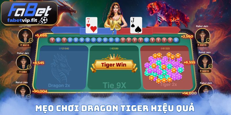 Mẹo chơi Dragon Tiger hiệu quả