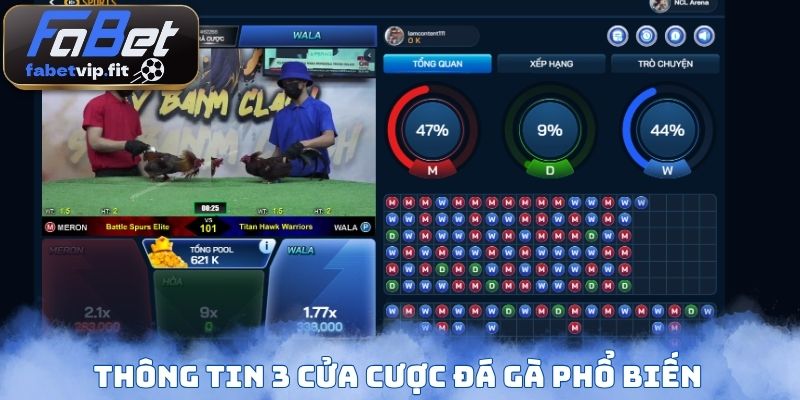 Thông tin 3 cửa cược đá gà phổ biến