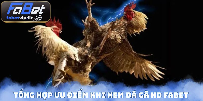 Tổng hợp ưu điểm khi xem đá gà HD FABET
